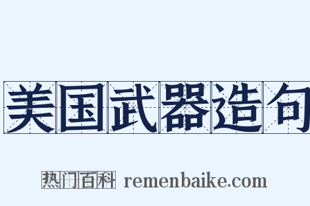 美国武器造句是什么意思的图片